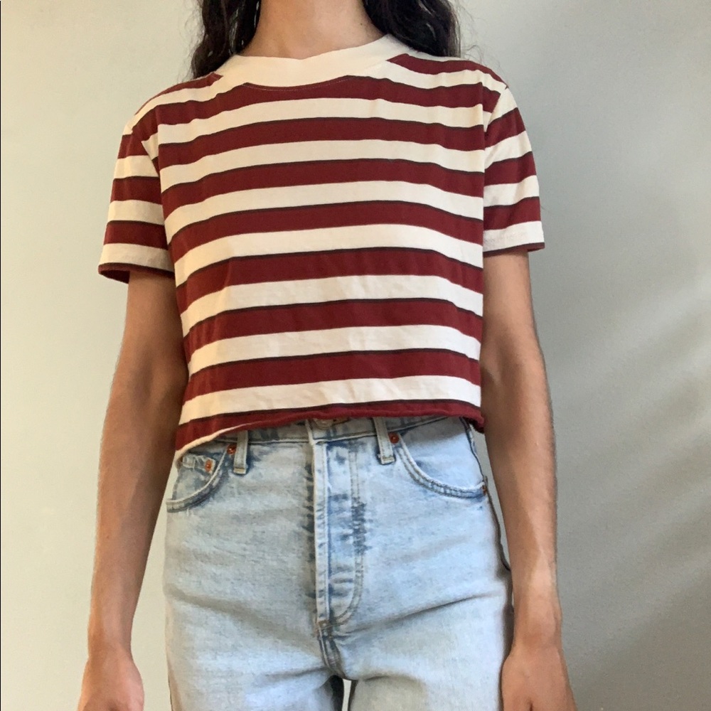 Zara crop top